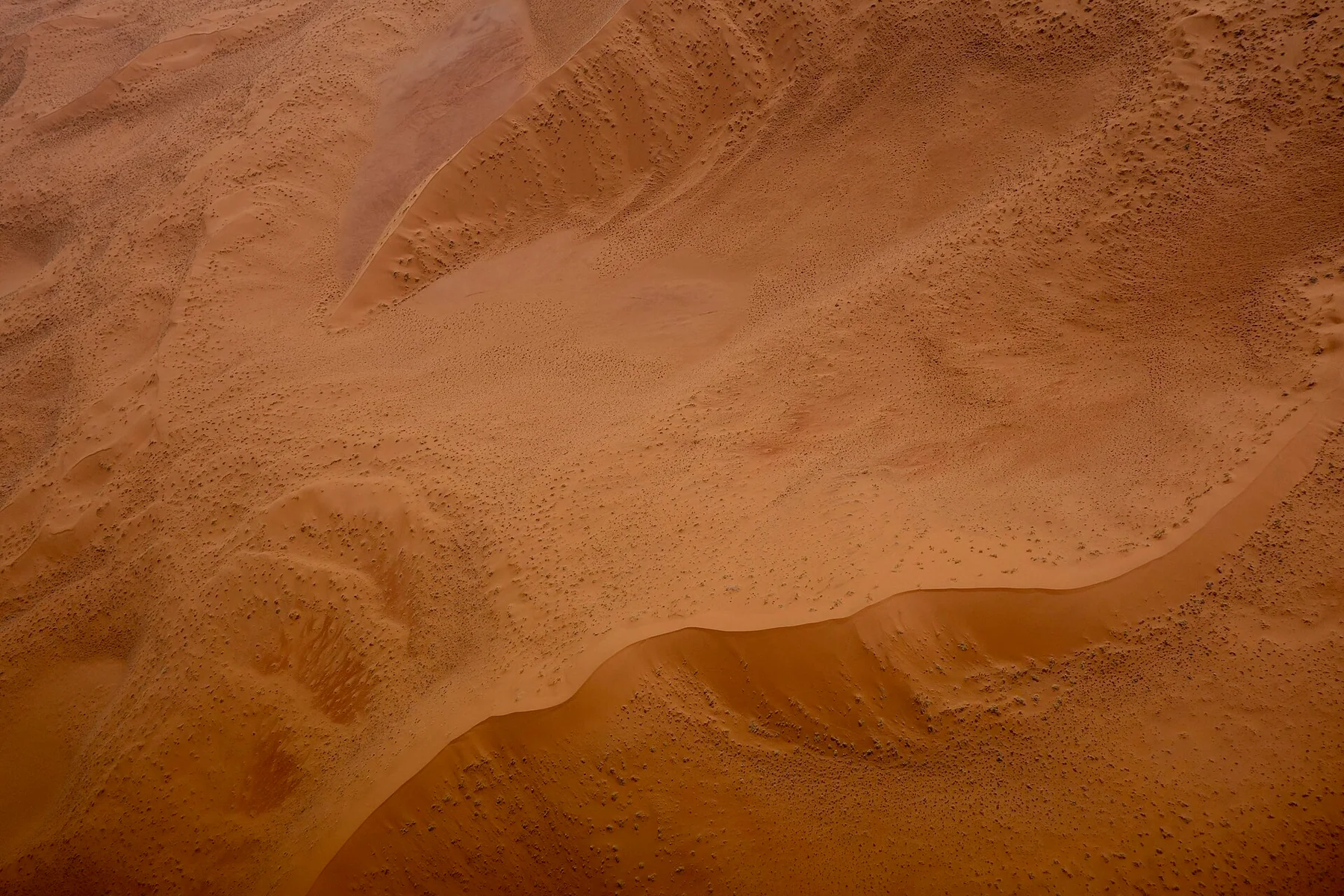 Aerial view of deep orange Namib dune ridges and long blue shadows.